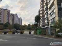 置地甲江南实景图，拍摄于2019/12/13