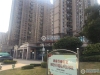 塘桥碧桂园水蓝湾实景图，拍摄于2019/12/13