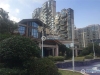 塘桥碧桂园水蓝湾实景图，拍摄于2019/12/13