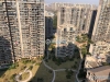 塘桥碧桂园水蓝湾实景图，拍摄于2019/12/13