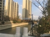 碧桂园尚东区实景图，拍摄于2019/12/16