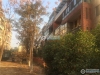 塘桥东海明珠实景图，拍摄于2019/12/16