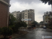 大新泰富花园实景图，拍摄于2019/12/16
