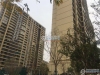 碧桂园天玺实景图，拍摄于2019/12/16