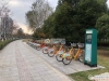 澳洋雅美阁花园实景图，拍摄于2019/12/17