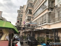 江南明珠实景图，拍摄于2019/12/17