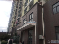 新泾公寓实景图，拍摄于2019/12/17