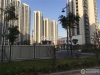 金香花苑实景图，拍摄于2019/12/17