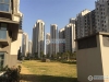 金香花苑实景图，拍摄于2019/12/17