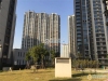 金香花苑实景图，拍摄于2019/12/17