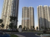 金香花苑实景图，拍摄于2019/12/17