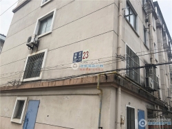 ��ׯ�´�С�����