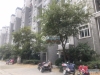 澳洋幸福里实景图，拍摄于2019/12/3