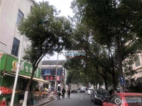 塘市聚丰新村实景图，拍摄于2019/12/3