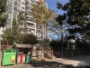 紫竹庭园实景图，拍摄于2019/12/3
