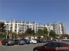 紫竹庭园实景图，拍摄于2019/12/3