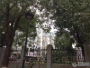 南城花园实景图，拍摄于2020/10/27