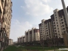 新润花苑实景图，拍摄于2020/11/30