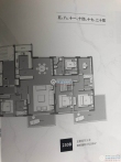 铂悦·峯汇户型图，拍摄于2020/4/20
