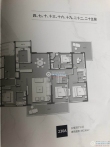 铂悦·峯汇户型图
