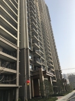 碧桂园尚东区实景图，拍摄于2020/6/24