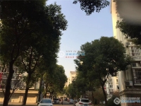 锦绣金港实景图，拍摄于2020/7/30