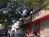 西门北村实景图，拍摄于2020/7/30