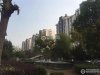 锦绣花苑实景图，拍摄于2020/7/30