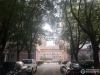 长江城市花园实景图，拍摄于2020/7/30
