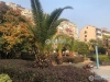 亨通花园实景图，拍摄于2020/7/30