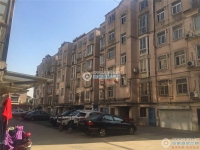 徐丰小区实景图，拍摄于2020/8/24