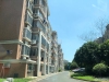 江帆花苑中区实景图，拍摄于2020/8/25