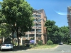 江帆花苑中区实景图，拍摄于2020/8/25