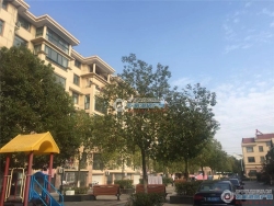 ����Է���