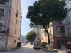 华苑新村实景图，拍摄于2020/8/27