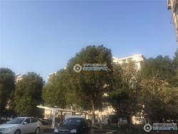 ���Է���