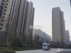 碧桂园凤凰台实景图，拍摄于2020/9/30