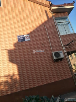 ��ɣС�����