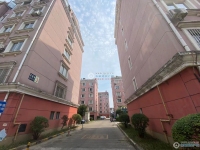 花园城实景图，拍摄于2021/11/25