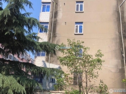 �Ž��´����