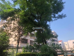 �Ž��´����