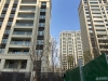 金茂府(滨湖名邸)实景图，拍摄于2021/12/7