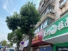 后塍翔和苑实景图，拍摄于2021/12/8