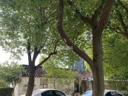 �������ׯ�������