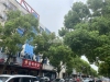 蟠港北路实景图，拍摄于2021/12/8