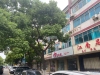 蟠港北路实景图，拍摄于2021/12/8
