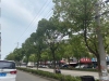 黄泗浦路实景图，拍摄于2021/12/8