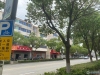 黄泗浦路实景图，拍摄于2021/12/8