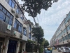 金港镇天福路实景图，拍摄于2021/12/8