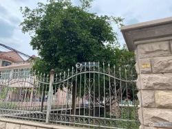 ¹Է�����´����